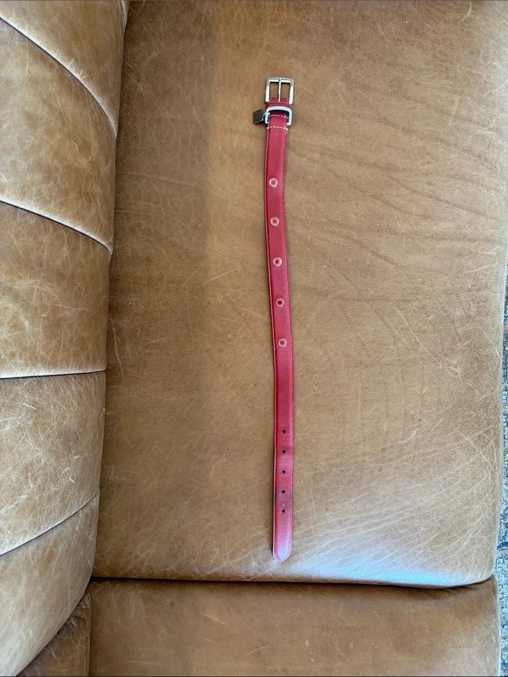 Vintage Coach red dog collar